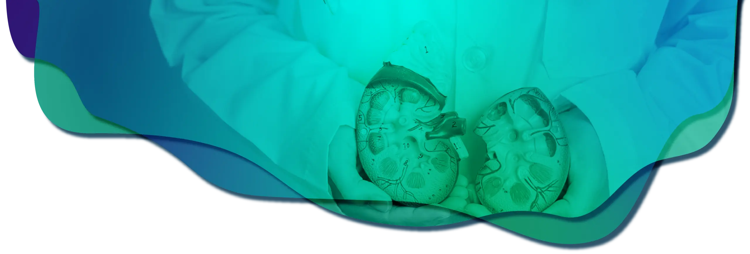 VUS Urologic Conditions_1920x650